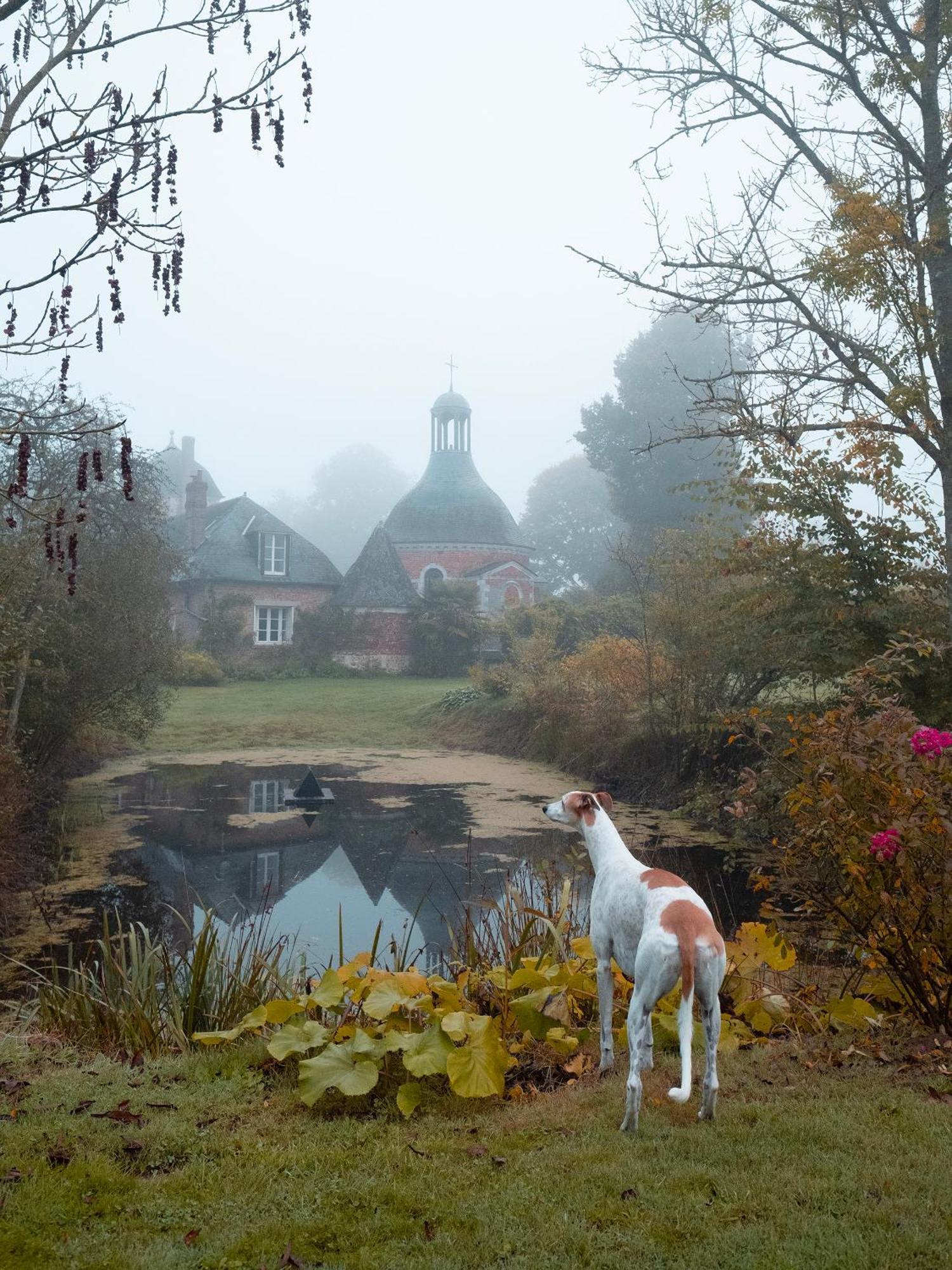 Le Chateau De Bonnemare - Bed And Breakfast Radepont Kültér fotó